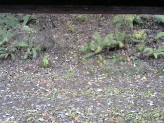 長野県菅平高原 ゆたか山荘 南側 2025/11/03 13:00