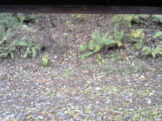 長野県菅平高原 ゆたか山荘 南側 2025/11/03 13:15