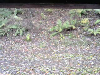 長野県菅平高原 ゆたか山荘 南側 2025/11/03 13:30