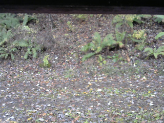 長野県菅平高原 ゆたか山荘 南側 2025/11/03 13:45