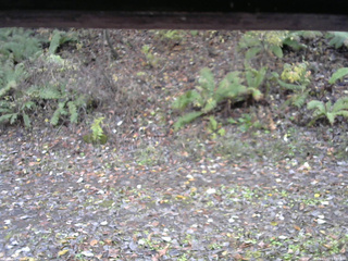 長野県菅平高原 ゆたか山荘 南側 2025/11/03 14:15