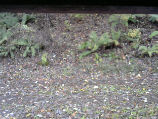 長野県菅平高原 ゆたか山荘 南側 2025/11/03 14:30