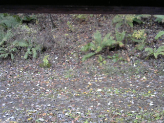 長野県菅平高原 ゆたか山荘 南側 2025/11/03 14:45