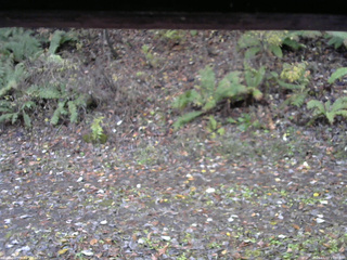 長野県菅平高原 ゆたか山荘 南側 2025/11/03 15:00