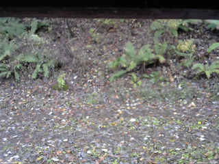 長野県菅平高原 ゆたか山荘 南側 2025/11/03 15:15