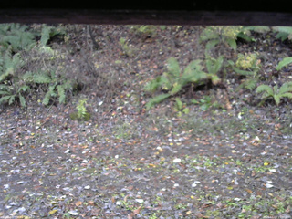 長野県菅平高原 ゆたか山荘 南側 2025/11/03 15:30