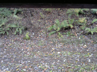 長野県菅平高原 ゆたか山荘 南側 2025/11/03 15:45