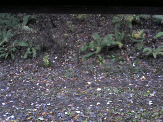 長野県菅平高原 ゆたか山荘 南側 2025/11/03 16:30