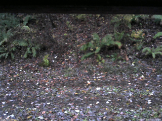 長野県菅平高原 ゆたか山荘 南側 2025/11/03 16:45