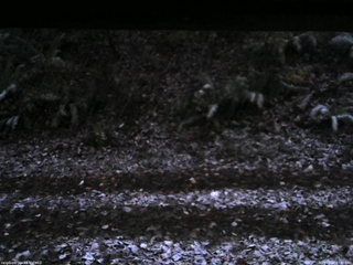 長野県菅平高原 ゆたか山荘 南側 2025/11/03 17:00