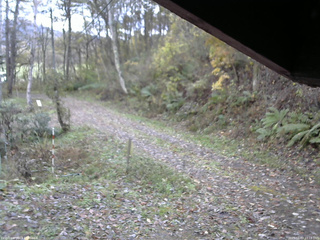 長野県菅平高原 ゆたか山荘 東側(坂下) 2025/11/03 10:15
