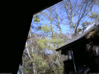 長野県菅平高原 ゆたか山荘 北側 2025/11/04 12:45