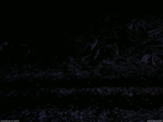 長野県菅平高原 ゆたか山荘 南側 2025/11/04 05:45