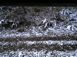 長野県菅平高原 ゆたか山荘 南側 2025/11/04 06:00