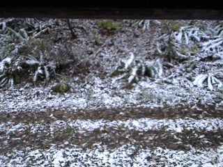 長野県菅平高原 ゆたか山荘 南側 2025/11/04 06:15