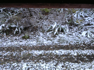 長野県菅平高原 ゆたか山荘 南側 2025/11/04 06:30
