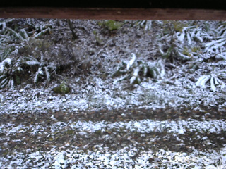 長野県菅平高原 ゆたか山荘 南側 2025/11/04 06:45