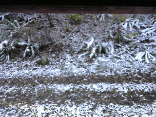 長野県菅平高原 ゆたか山荘 南側 2025/11/04 07:00