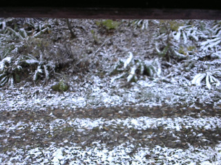 長野県菅平高原 ゆたか山荘 南側 2025/11/04 07:15
