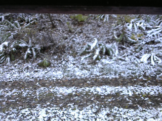 長野県菅平高原 ゆたか山荘 南側 2025/11/04 07:30