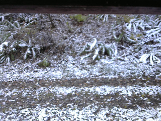 長野県菅平高原 ゆたか山荘 南側 2025/11/04 07:45