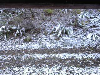 長野県菅平高原 ゆたか山荘 南側 2025/11/04 08:00