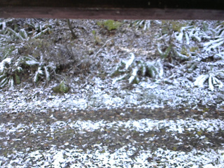 長野県菅平高原 ゆたか山荘 南側 2025/11/04 08:15