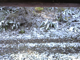 長野県菅平高原 ゆたか山荘 南側 2025/11/04 08:30