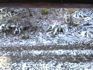 長野県菅平高原 ゆたか山荘 南側 2025/11/04 08:45