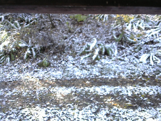 長野県菅平高原 ゆたか山荘 南側 2025/11/04 09:00