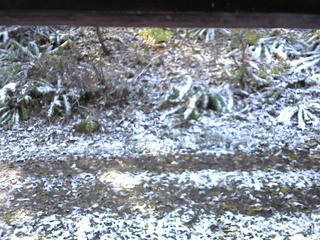 長野県菅平高原 ゆたか山荘 南側 2025/11/04 09:15