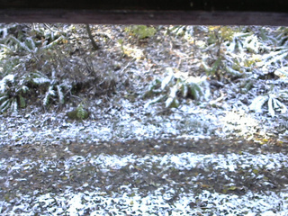 長野県菅平高原 ゆたか山荘 南側 2025/11/04 09:30