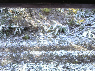 長野県菅平高原 ゆたか山荘 南側 2025/11/04 09:45