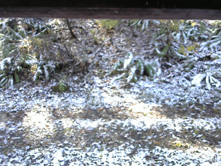 長野県菅平高原 ゆたか山荘 南側 2025/11/04 10:00