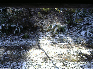 長野県菅平高原 ゆたか山荘 南側 2025/11/04 10:15