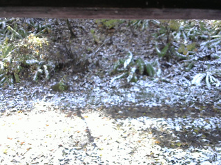 長野県菅平高原 ゆたか山荘 南側 2025/11/04 10:30