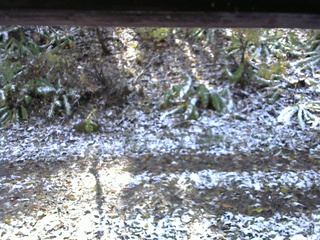 長野県菅平高原 ゆたか山荘 南側 2025/11/04 10:45