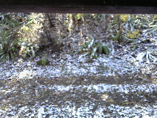 長野県菅平高原 ゆたか山荘 南側 2025/11/04 11:00