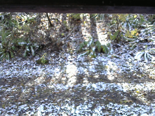 長野県菅平高原 ゆたか山荘 南側 2025/11/04 11:15