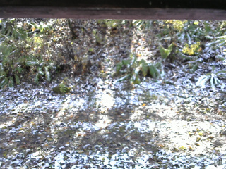 長野県菅平高原 ゆたか山荘 南側 2025/11/04 11:30