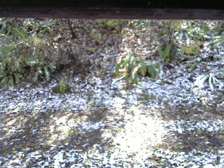 長野県菅平高原 ゆたか山荘 南側 2025/11/04 11:45