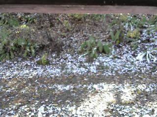 長野県菅平高原 ゆたか山荘 南側 2025/11/04 12:15