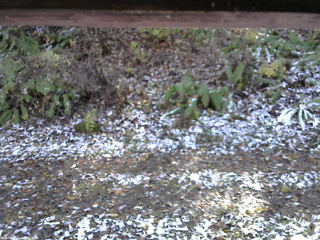 長野県菅平高原 ゆたか山荘 南側 2025/11/04 12:30