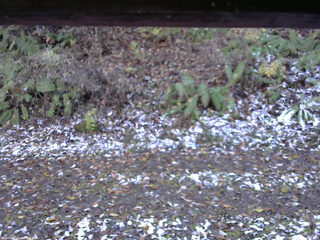 長野県菅平高原 ゆたか山荘 南側 2025/11/04 14:00