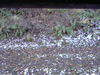 長野県菅平高原 ゆたか山荘 南側 2025/11/04 14:45