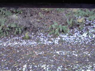 長野県菅平高原 ゆたか山荘 南側 2025/11/04 15:00