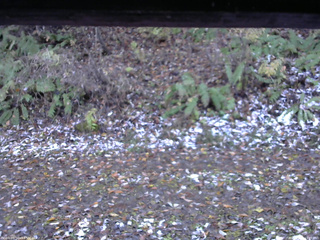 長野県菅平高原 ゆたか山荘 南側 2025/11/04 15:45