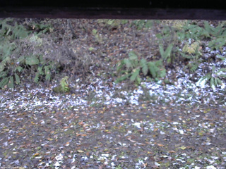 長野県菅平高原 ゆたか山荘 南側 2025/11/04 16:00