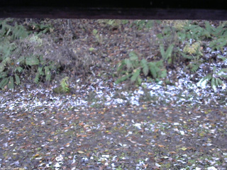 長野県菅平高原 ゆたか山荘 南側 2025/11/04 16:15