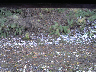 長野県菅平高原 ゆたか山荘 南側 2025/11/04 16:30